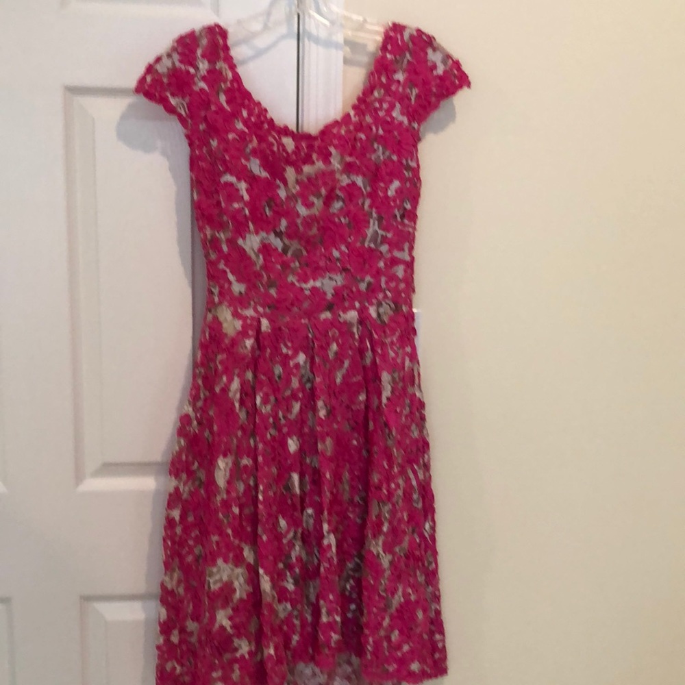 Yoana Baraschi pink embroidered dress